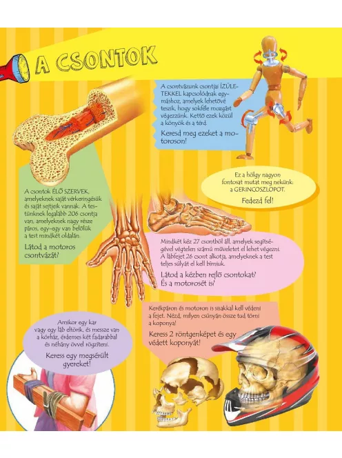 Zseblámpával - Az emberi testben