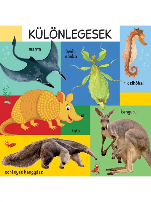 101 színes kép a vadon élő állatokról