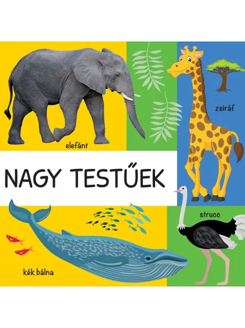 101 színes kép a vadon élő állatokról
