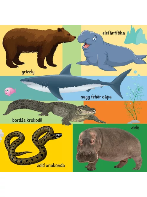 101 színes kép a vadon élő állatokról
