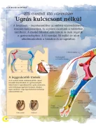 A lovak enciklopédiája