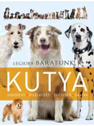 Legjobb barátunk, a kutya