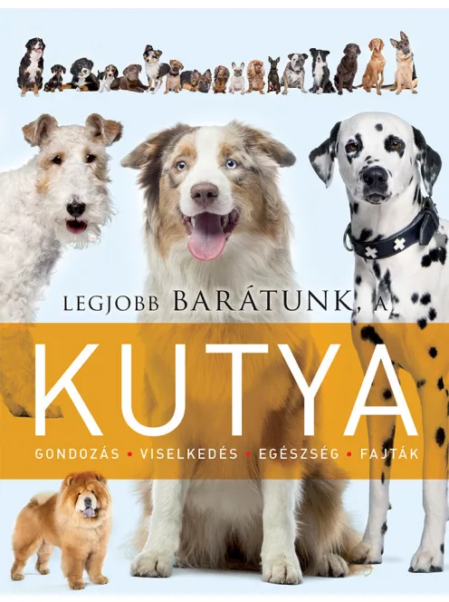 Legjobb barátunk, a kutya