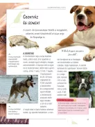 Legjobb barátunk, a kutya