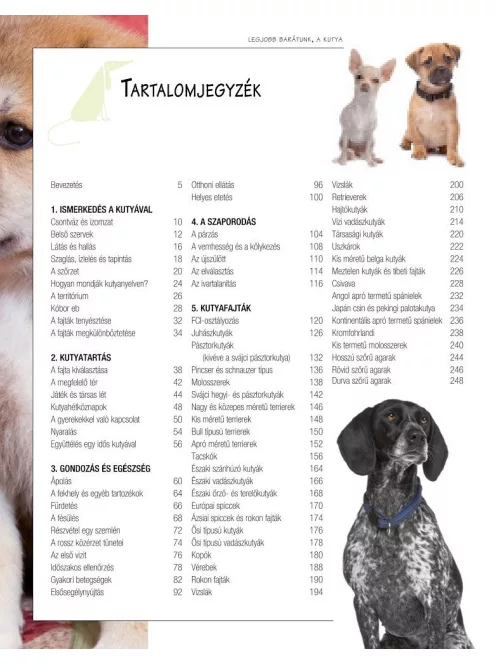 Legjobb barátunk, a kutya