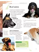 Legjobb barátunk, a kutya