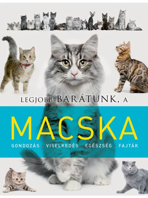 Legjobb barátunk, a macska