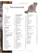 Legjobb barátunk, a macska