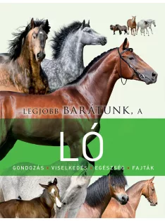 Legjobb barátunk, a ló