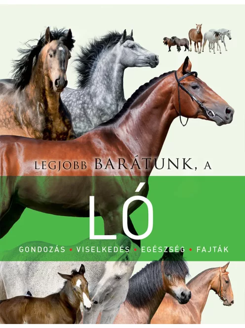 Legjobb barátunk, a ló