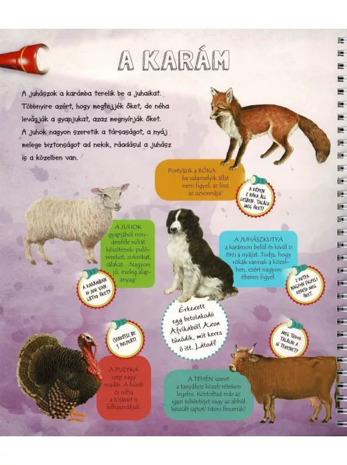 Zseblámpával - A tanyán