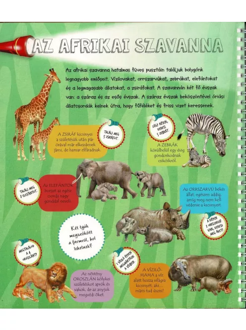 Zseblámpával - Az állatkölykök nyomában