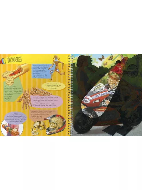 Torch Book - The Human Body