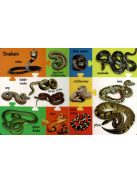 My First 100 Words - Wild Animals