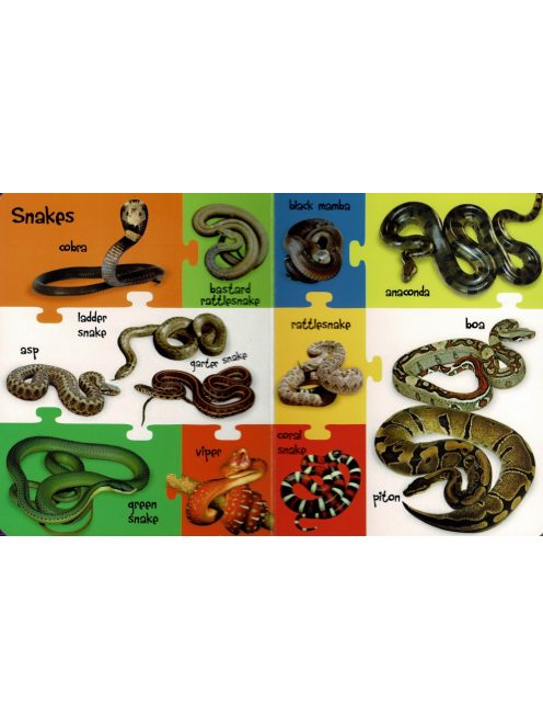 My First 100 Words - Wild Animals