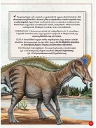 Varázslatos útmutató a dinoszauruszokhoz