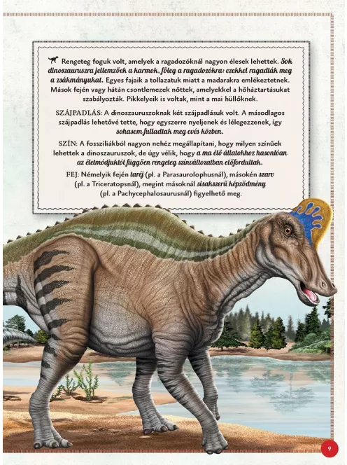 Varázslatos útmutató a dinoszauruszokhoz