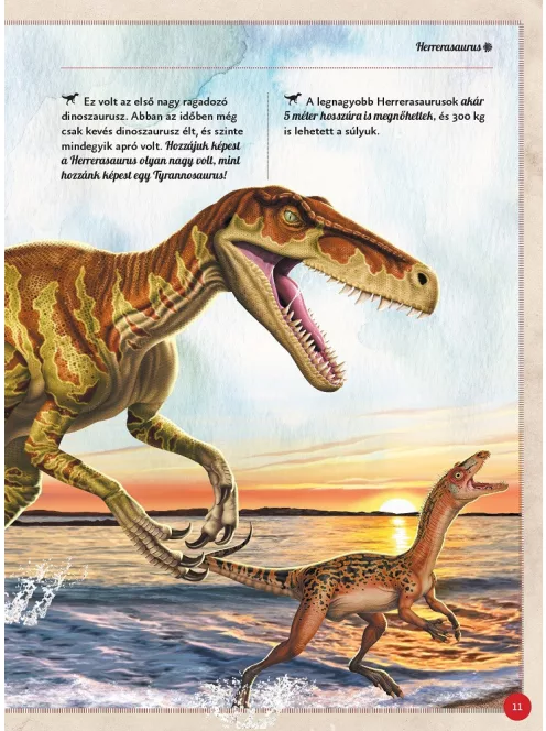 Varázslatos útmutató a dinoszauruszokhoz