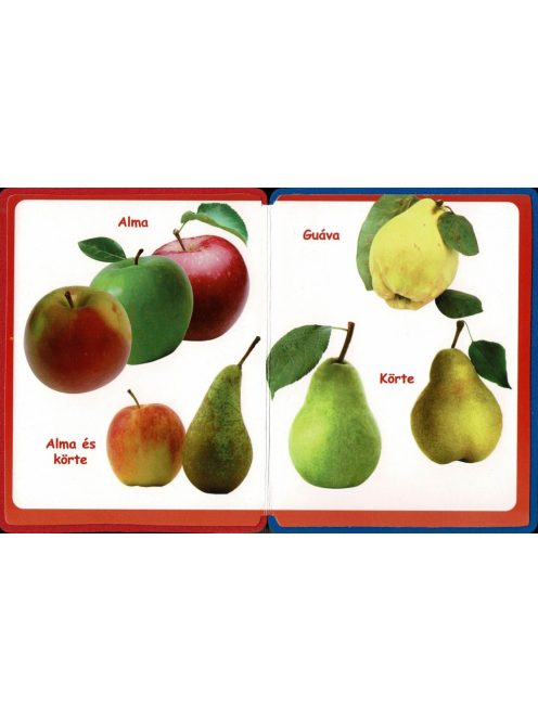 Szivacskönyv - Gyümölcsök
