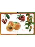 Szivacskönyv - Gyümölcsök