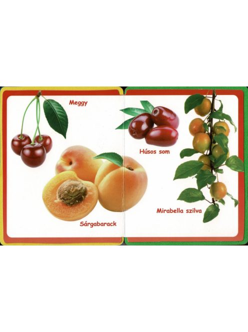 Szivacskönyv - Gyümölcsök