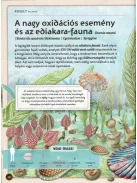Varázslatos útmutató a kihalt állatokhoz