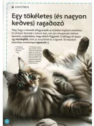 Varázslatos útmutató a macskákhoz