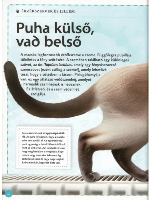 Varázslatos útmutató a macskákhoz