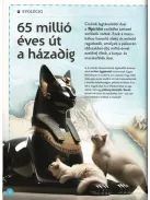 Varázslatos útmutató a macskákhoz