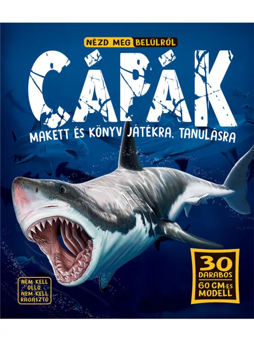 Nézd meg belülről - Cápák