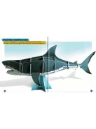 Nézd meg belülről - Cápák