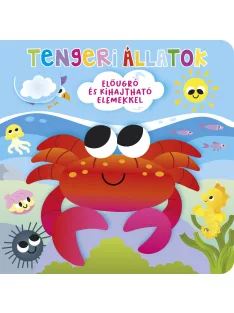 Ki bújt el? Tengeri állatok