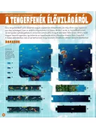 Dioráma - Tengeri állatvilág