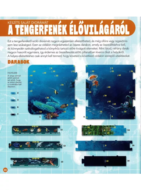 Dioráma - Tengeri állatvilág