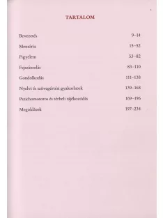 Agytorna 1. - Fejleszd a mentális képességeidet (új)