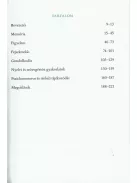 Agytorna 2. - Fejleszd a memóriádat és a mentális képességeidet (új)