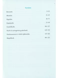 Agytorna 3. - Fejleszd a figyelmedet (új)