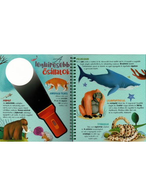 Csodalámpa - Ősállatok