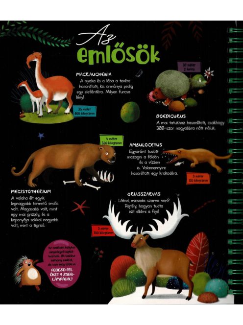 Csodalámpa - Ősállatok