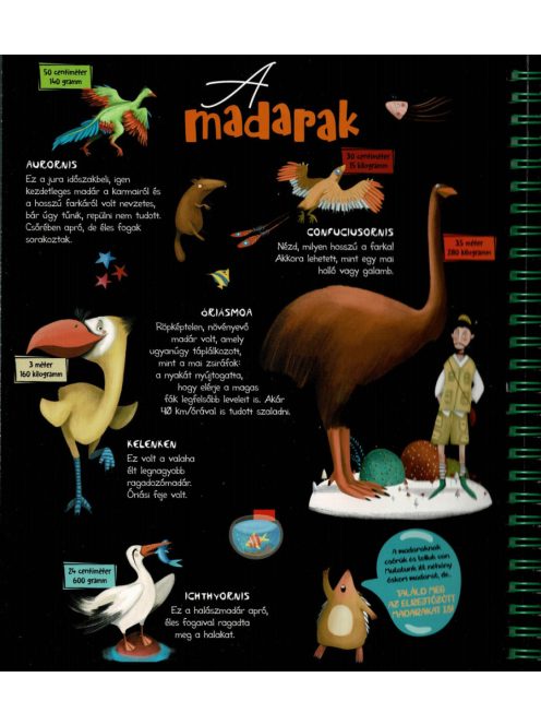 Csodalámpa - Ősállatok