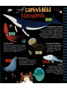 Csodalámpa - Tengeri állatok