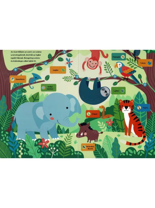Böngéssz hangokat - Állatnevek