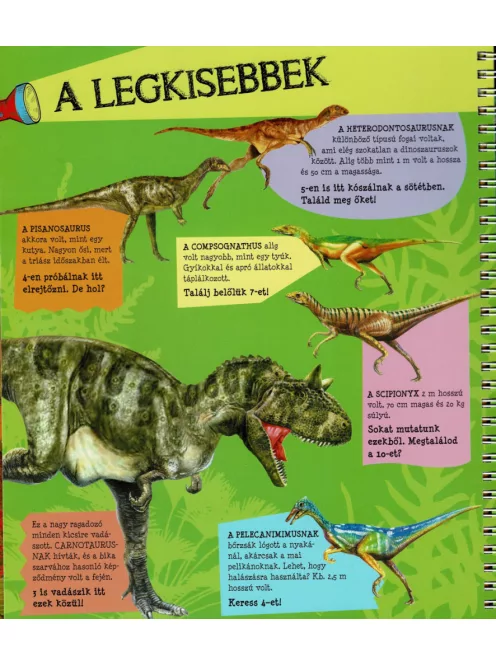 Zseblámpával - A dinoszauruszok nyomában