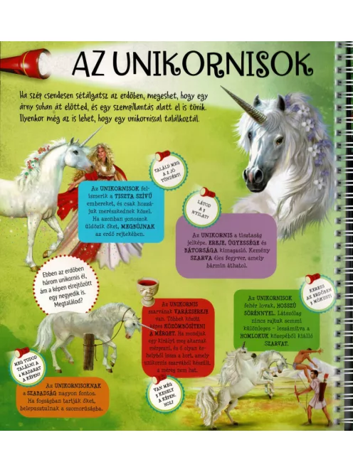 Zseblámpával - Az unikornisok nyomában