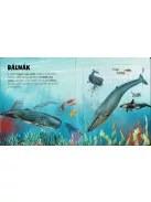 Szuper puzzle - Tengeri állatok