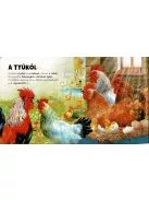 Szuper puzzle - A tanya állatai