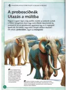 Varázslatos útmutató a mamutokhoz