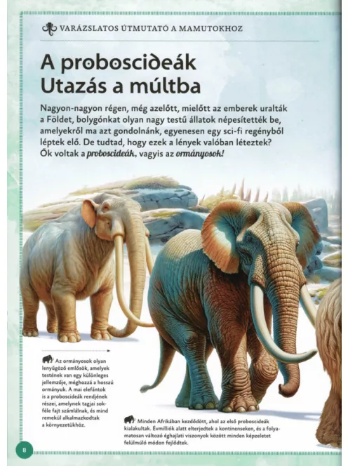 Varázslatos útmutató a mamutokhoz