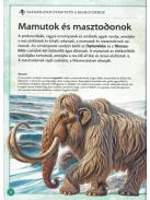 Varázslatos útmutató a mamutokhoz