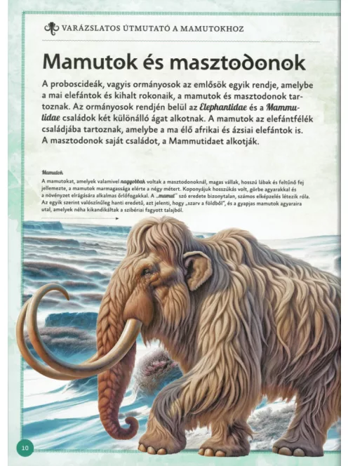 Varázslatos útmutató a mamutokhoz